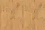 R4262_Pale Lancelot Oak
