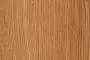 415 FS24 Lanty Oak