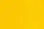 212 FS02 Yellow