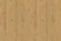 R5195_Pippy Oak