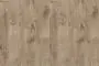 R4264_Grey Lancelot Oak